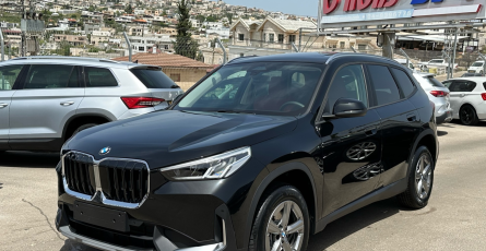 רוני מוטורס אתר (51)