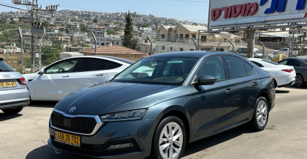 רוני מוטורס אתר (55)